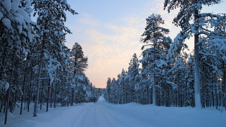 snowy road, winter, forest road-1250967.jpg
