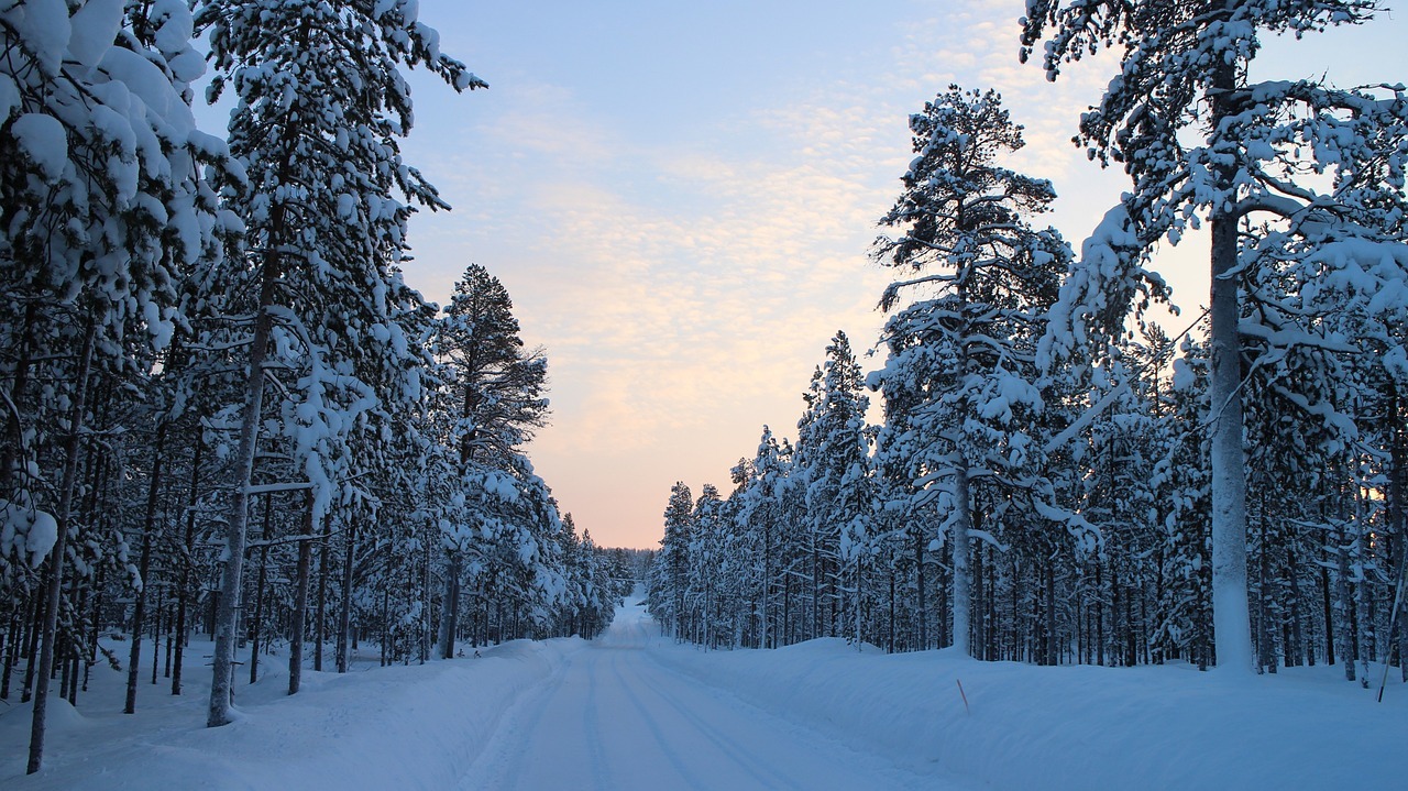 snowy road, winter, forest road-1250967.jpg